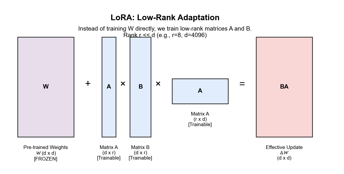 LoRA 的低秩更新结构