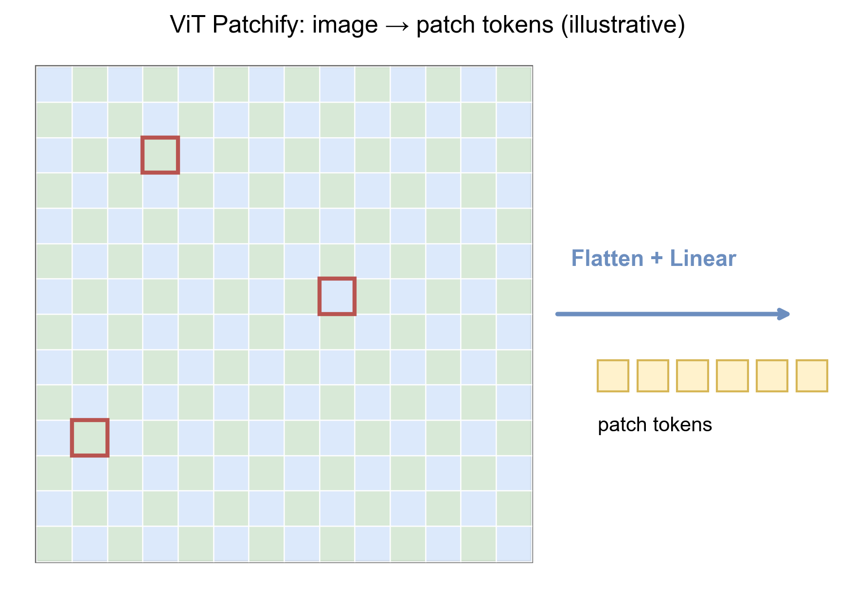 Vision Transformer 把图像切分为 patch tokens